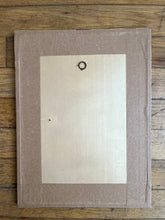 Charger l'image dans la galerie, ILLUSTRATION "PINUS RESINOSA"