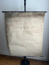 Charger l'image dans la galerie, AFFICHE "DEYROLLE"  LES ANIMAUX RAYONNÉS