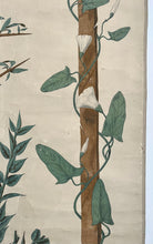 Charger l'image dans la galerie, ANCIENNE AFFICHE BOTANIQUE DEYROLLE